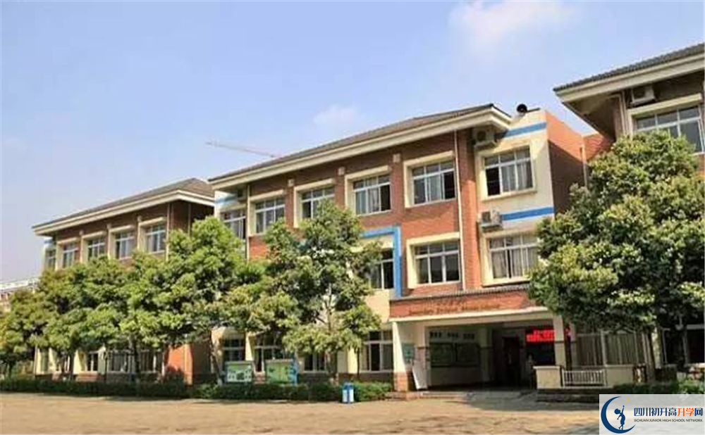 成都美視國際學(xué)校高中平行班怎么樣？