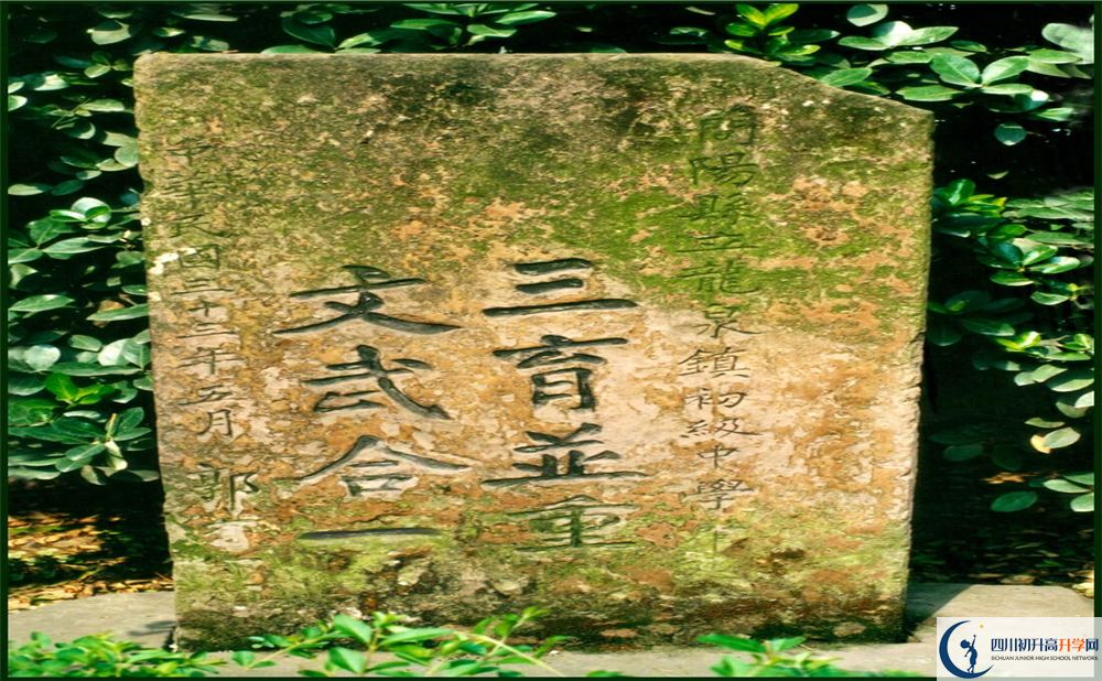 2020成都市龍泉中學(xué)期末試卷數(shù)學(xué)在哪看？