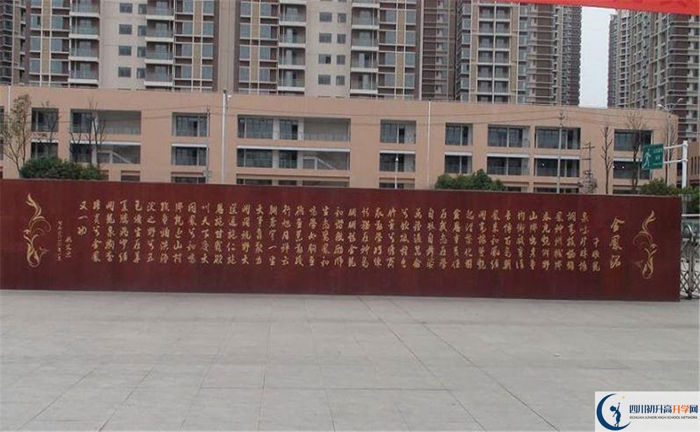 成都經(jīng)濟(jì)技術(shù)開發(fā)區(qū)實(shí)驗(yàn)中學(xué)在全國高中排名是多少？