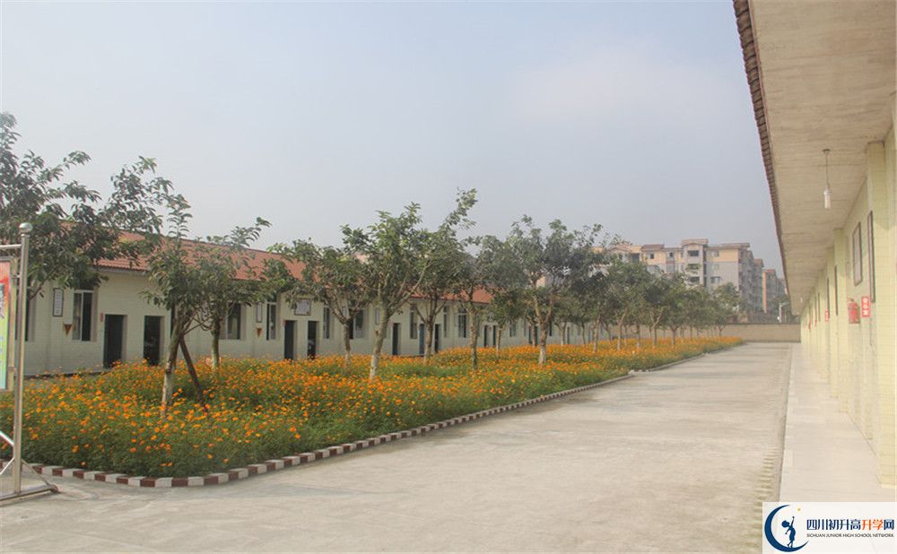 強項實驗中學在全國高中排名多少？