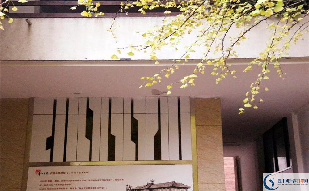 2020四川師范大學(xué)附屬第三實驗中學(xué)初升高分班考試題難嗎？