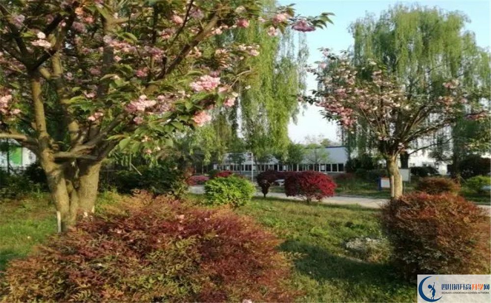 四川師范大學附屬第三實驗中學實驗班人數(shù)是多少？