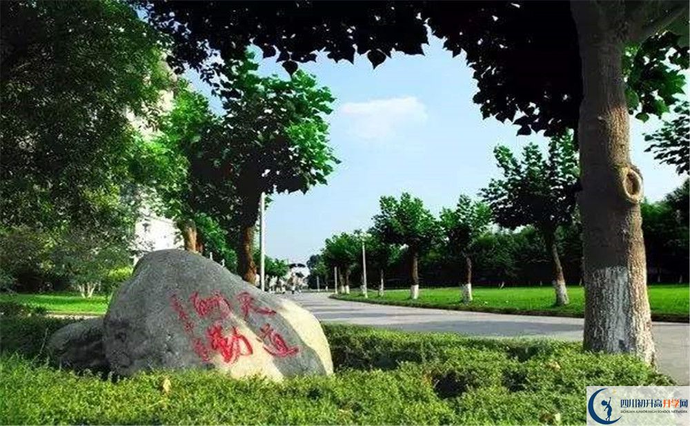 成都樹德中學(xué)補課嗎？