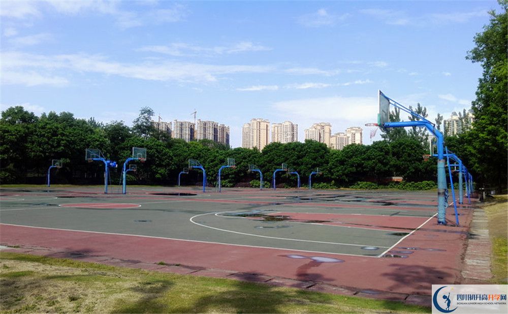 成都實(shí)驗(yàn)外國(guó)語(yǔ)學(xué)校（西區(qū)）補(bǔ)課嗎？