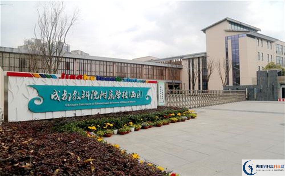 成都教科院附屬學(xué)校2020年高考人數(shù)是多少？