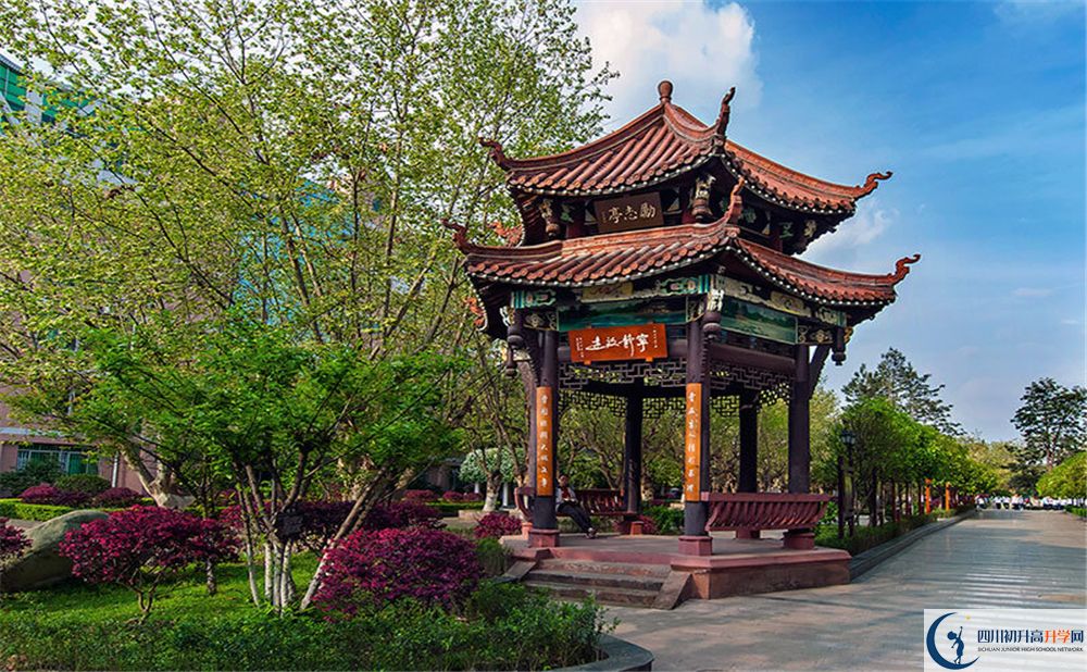 中和中學(xué)2020年高考人數(shù)是多少？