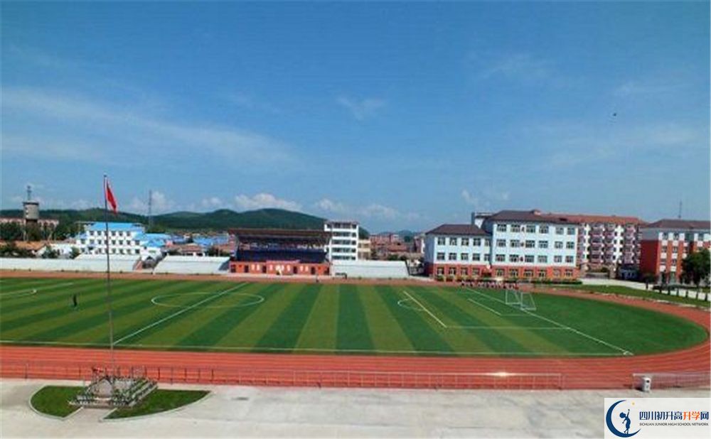 成都市華陽中學(xué)2020年高考人數(shù)是多少？