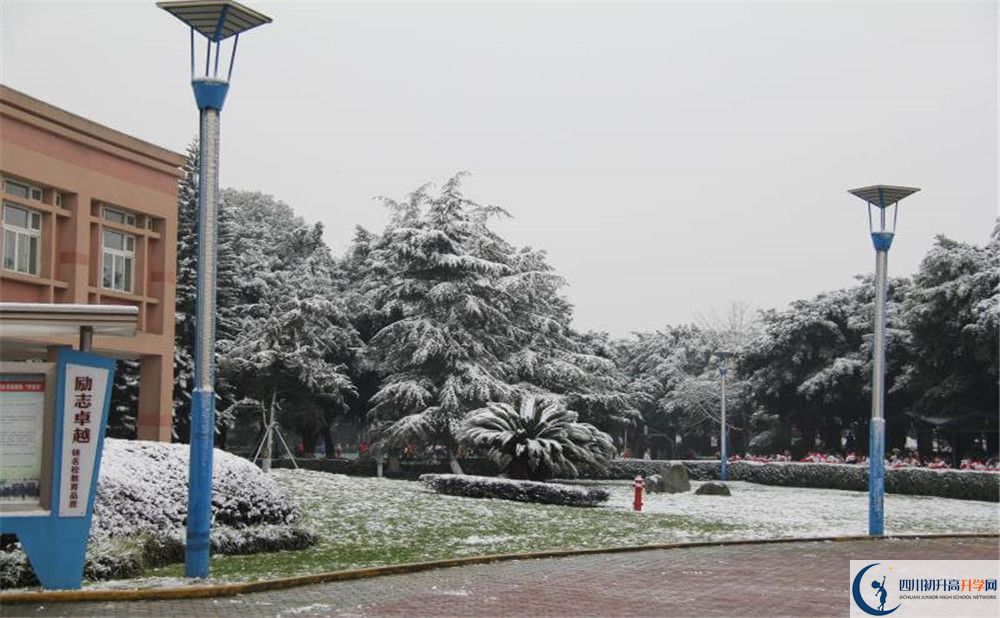 樹德博瑞實(shí)驗(yàn)學(xué)校校園風(fēng)采