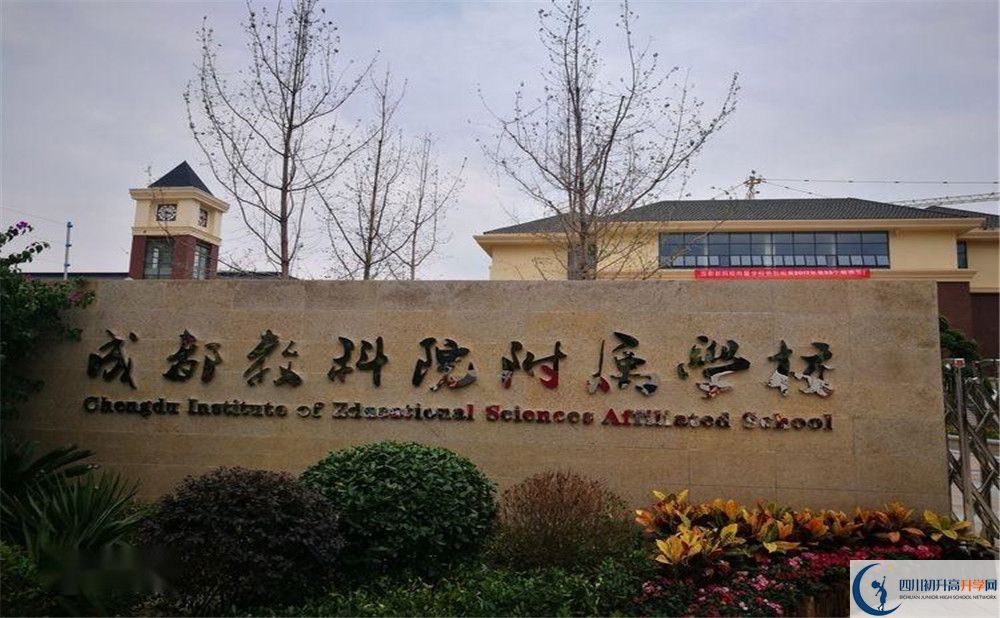 成都教科院附屬學校今年的錄取條件是否有變化？