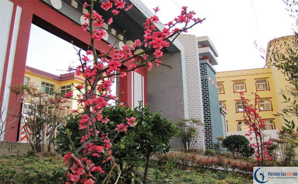 金川中學(xué)今年的錄取條件是否有變化？
