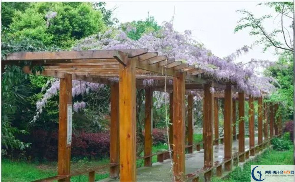 廣安花橋中學(xué)高三診斷考試時(shí)間怎么安排？