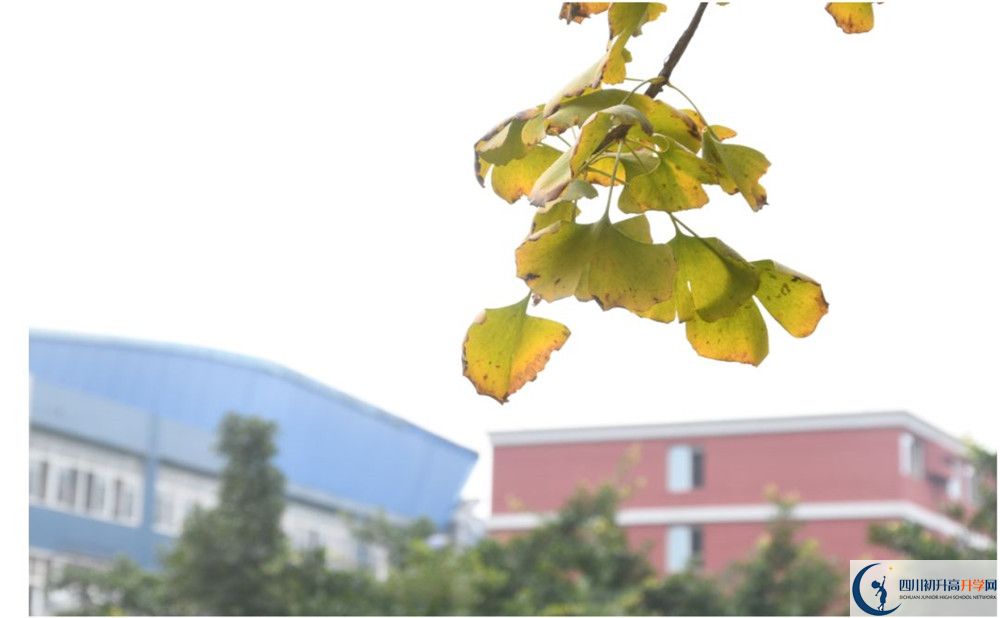 北京師范大學成都實驗中學地址怎么走？