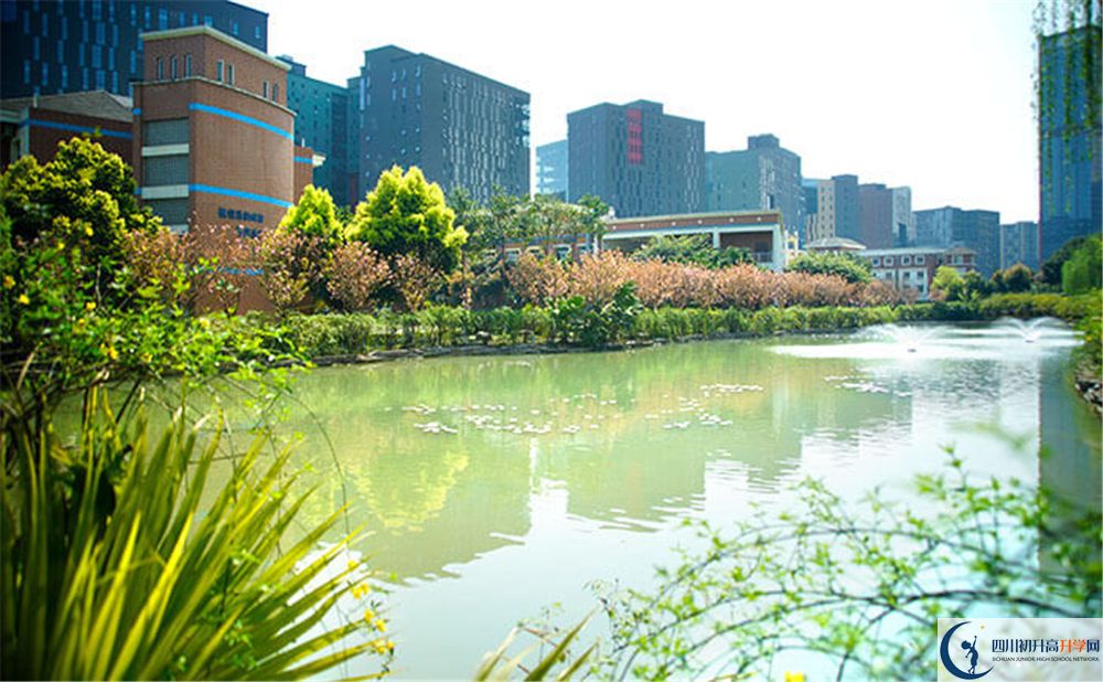 成都美視國際學校2020年怎么走？