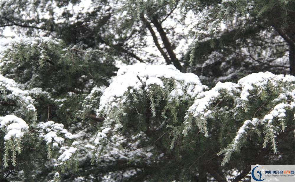 樹德博瑞實(shí)驗(yàn)學(xué)校電話號碼是多少？
