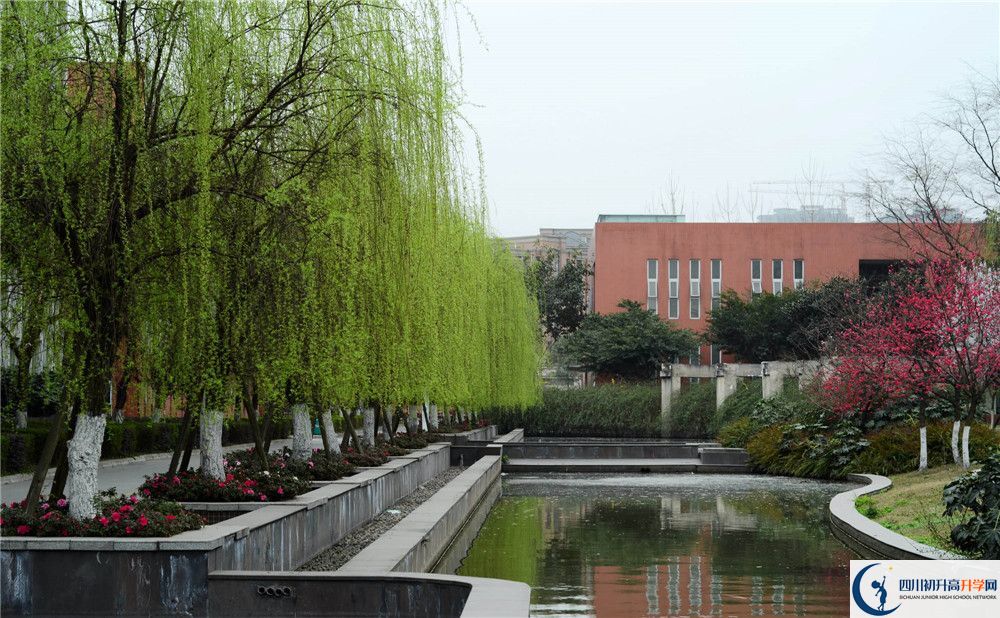 新都香城中學(xué)的哪個(gè)班2020年比較好？