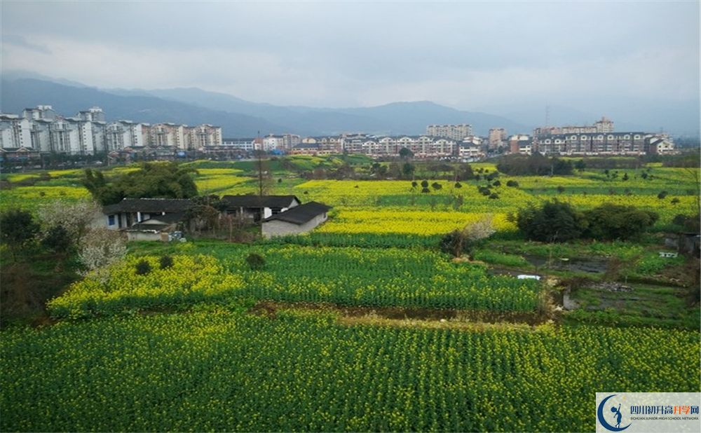 都江堰育才學(xué)校2020年錄取分數(shù)線是多少分？