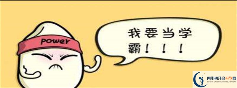 北二外成都附中2021清華北大錄取學(xué)生多少？