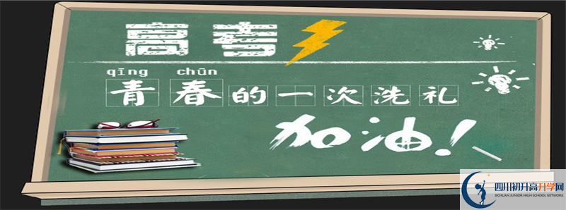 成都美視國際學(xué)校2021本科率是多少？
