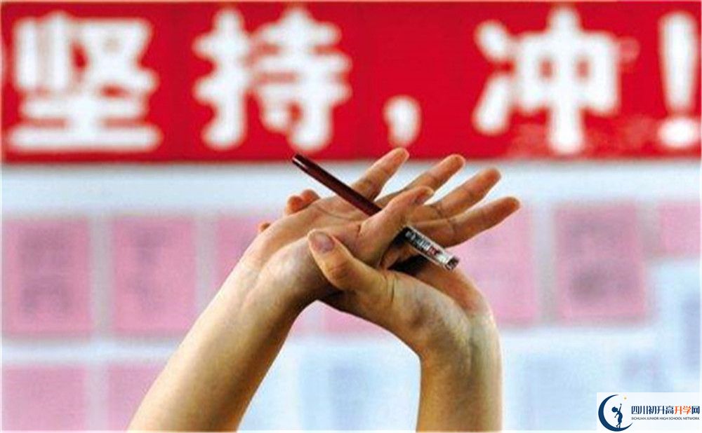 2022年遂寧市射洪綠然國際學校學費是多少？
